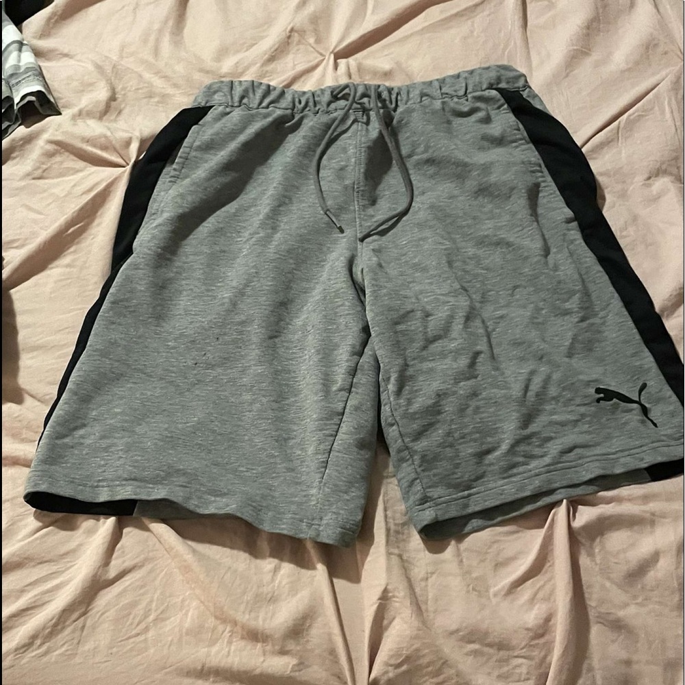 puma, medium
